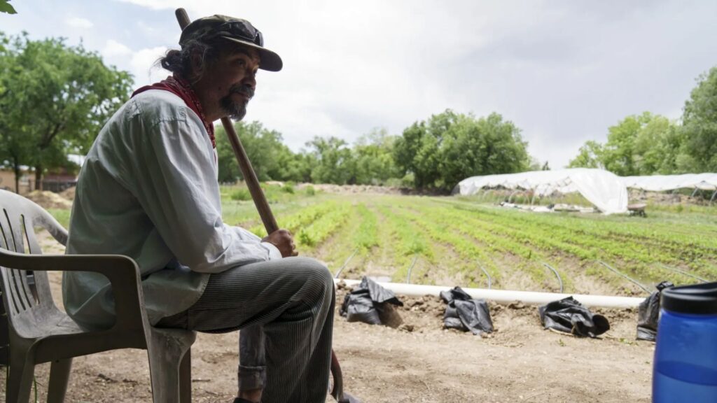 A man sits on a chair holding a tool, overlooking rows of crops in a garden with trees and plastic-covered structures in the background.