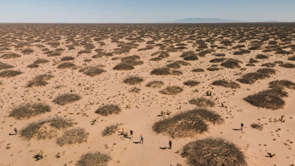 A group of people walk through a vast desert landscape dotted with low, bushy plants under a clear sky, with distant mountains visible on the horizon.