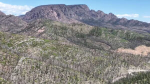 A rocky mountain rises above a landscape of sparse, patchy trees and brush under a clear blue sky.