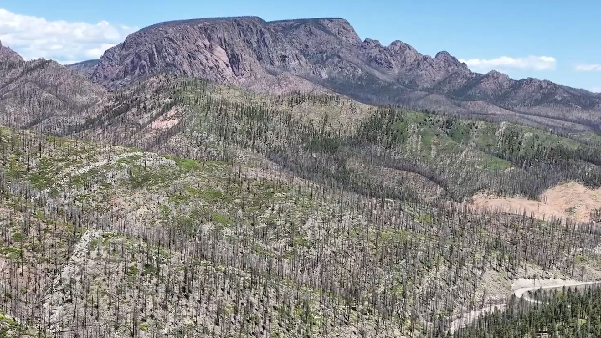 Planting Seeds in a Burn Scar
