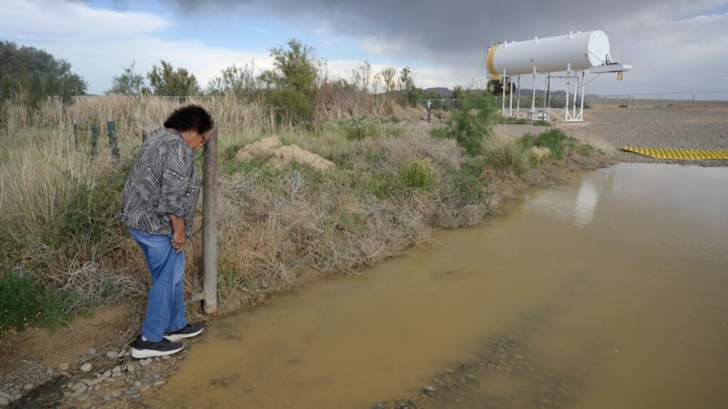 A person stands by a muddy body of water near dry vegetation, with a large white industrial tank visible in the background under a cloudy sky.