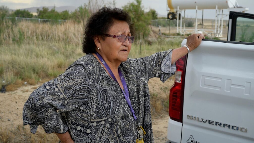 An older woman wearing glasses and a patterned shirt stands outdoors beside a white Chevrolet Silverado truck, with dry grass and shrubs in the background.