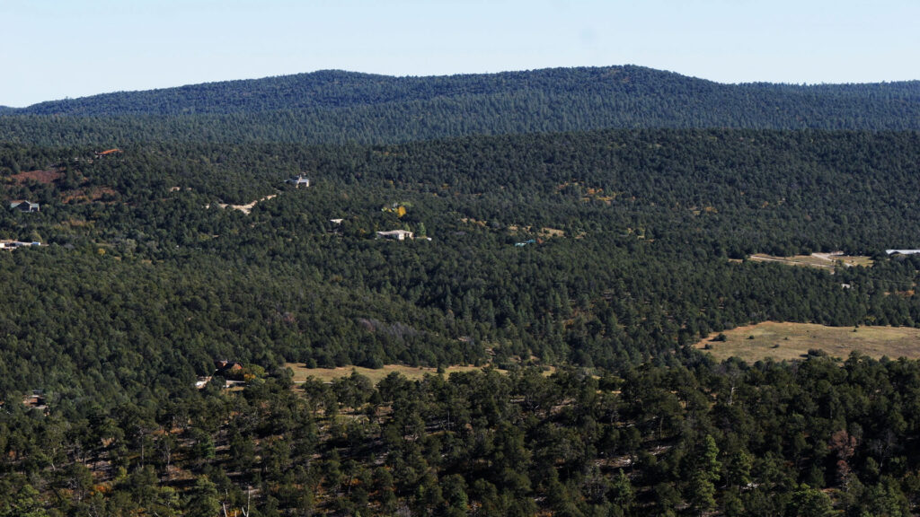 Dense forest landscape with small clearings and scattered houses, set against a backdrop of rolling tree-covered hills under a clear sky.
