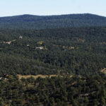 Into the Woods with NM Search and Rescue