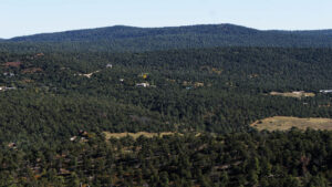 Dense forest landscape with small clearings and scattered houses, set against a backdrop of rolling tree-covered hills under a clear sky.