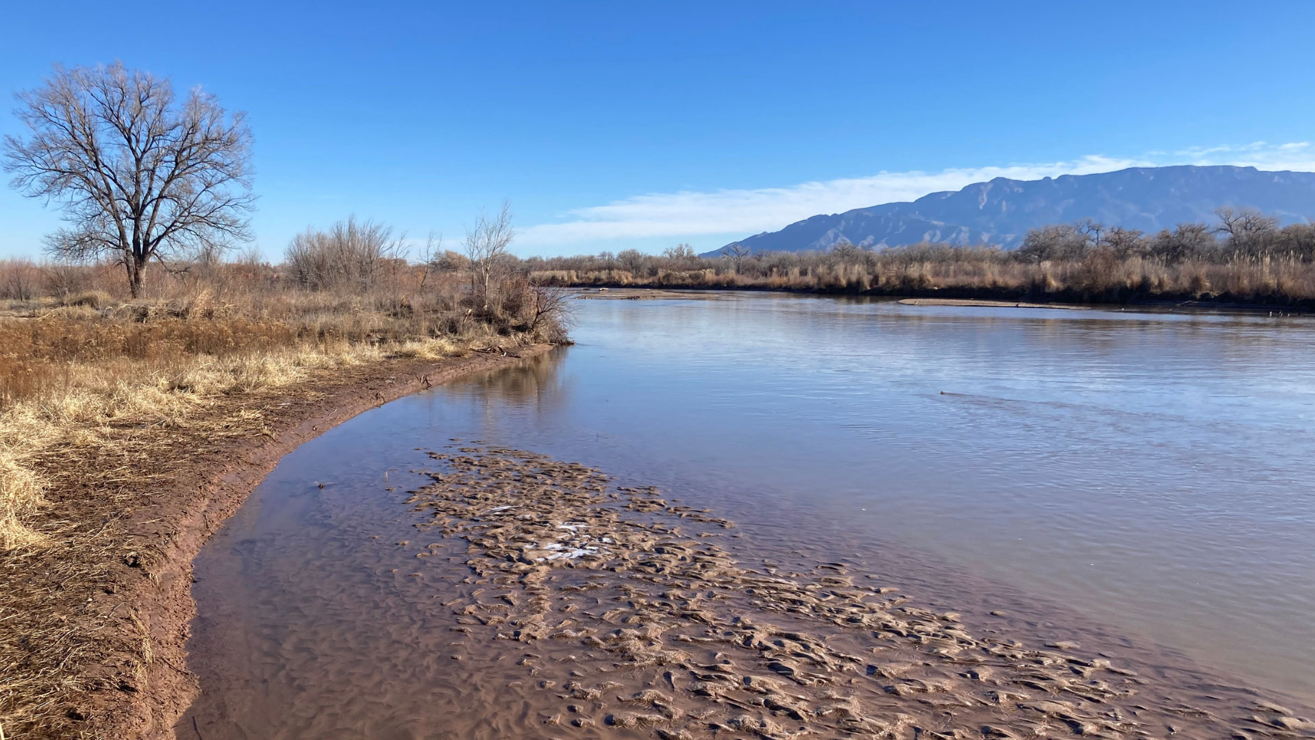 Water Conservation in New Mexico for the Next 50 Years