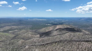 Aerial view of a vast landscape with rolling hills and sparse, leafless trees under a blue sky with scattered clouds.