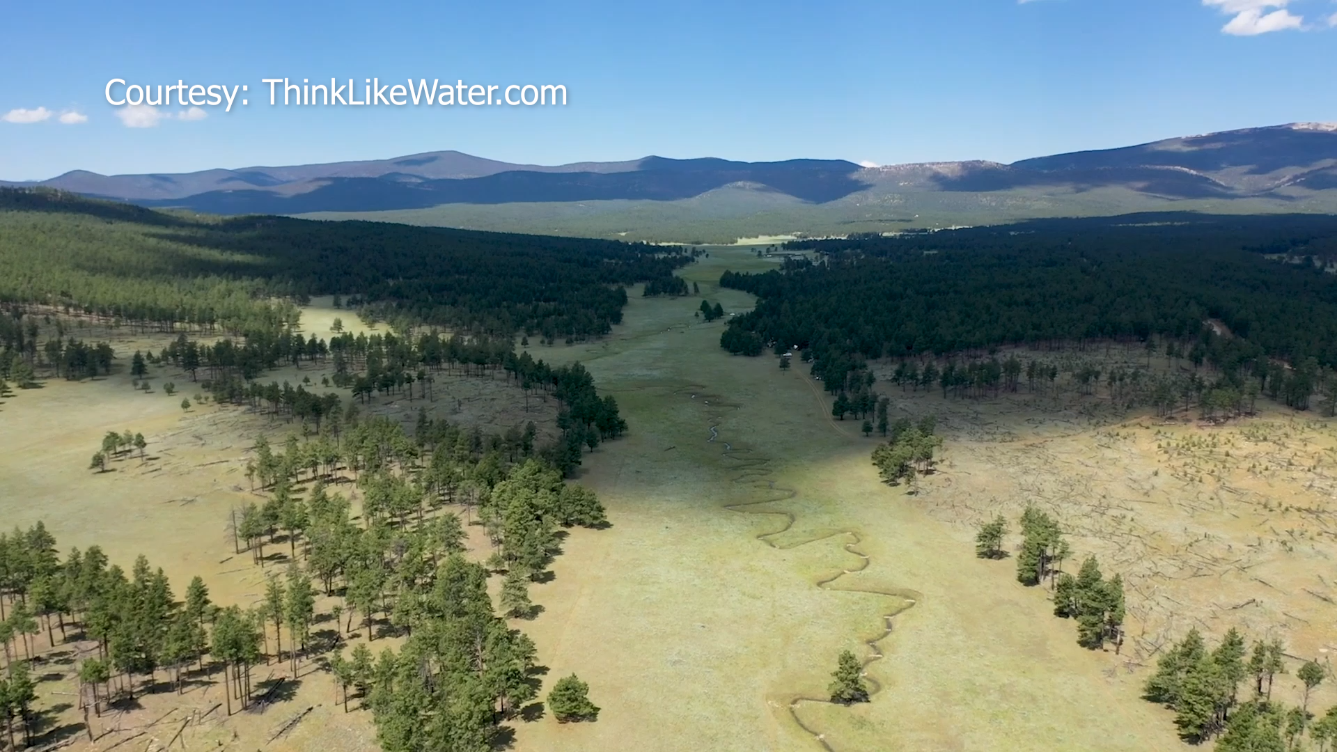 How NM Can Do More to Restore Its Rivers