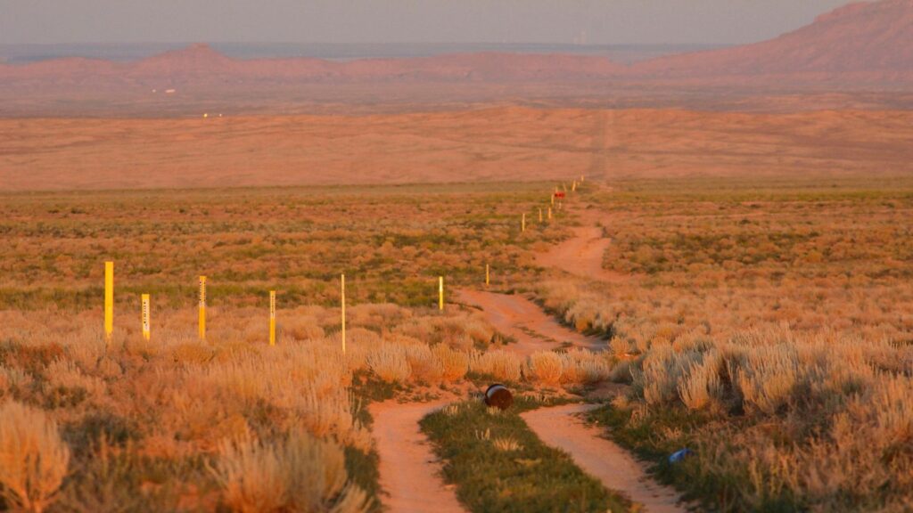 A dirt road lined with yellow markers stretches through a flat, dry grassland, with distant hills visible under a clear sky.
