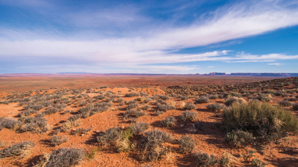 Desert landscape with scattered shrubs and dry red soil under a wide blue sky with wispy clouds.
