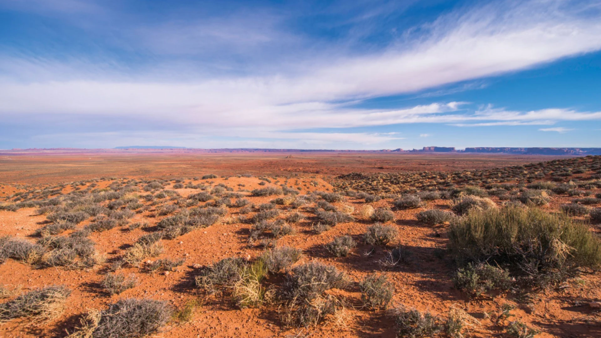 Desert landscape with scattered shrubs and dry red soil under a wide blue sky with wispy clouds.