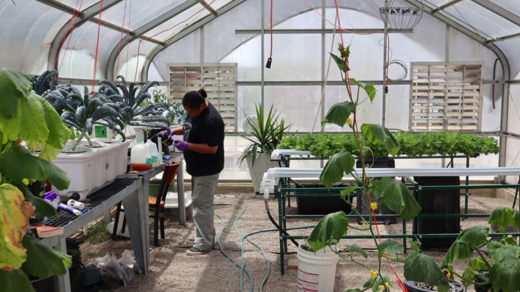 Person tending to plants inside a greenhouse with hydroponic systems, various vegetables, and gardening equipment visible throughout the space.