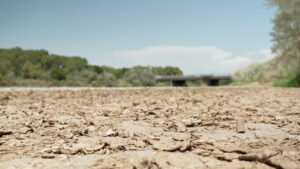 Dry, cracked ground under a clear sky with distant green trees and a bridge in the background.