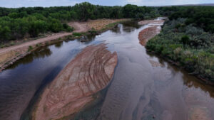 A shallow river with exposed sandbars and tire tracks, surrounded by dense green trees and brush under a cloudy sky.
