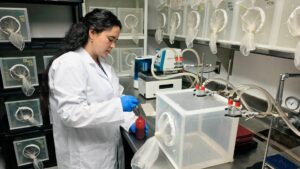 A person in a lab coat and gloves works with insect enclosures and laboratory equipment in a controlled lab environment.