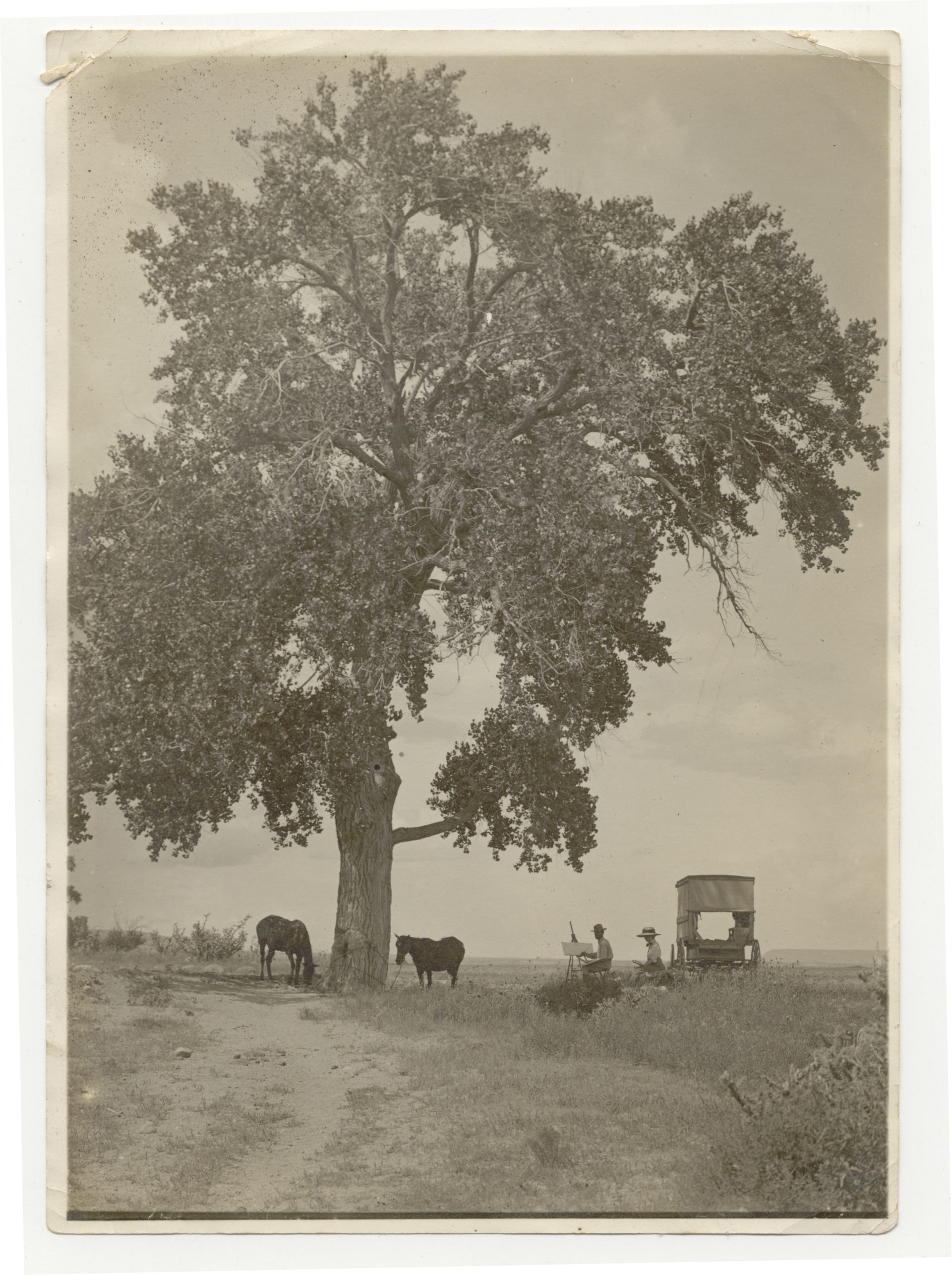 Painting Santa Fe New Mexico PBS, KNMETV