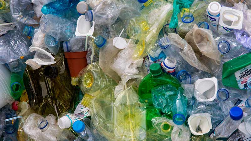plastic-bottles plastic bottles