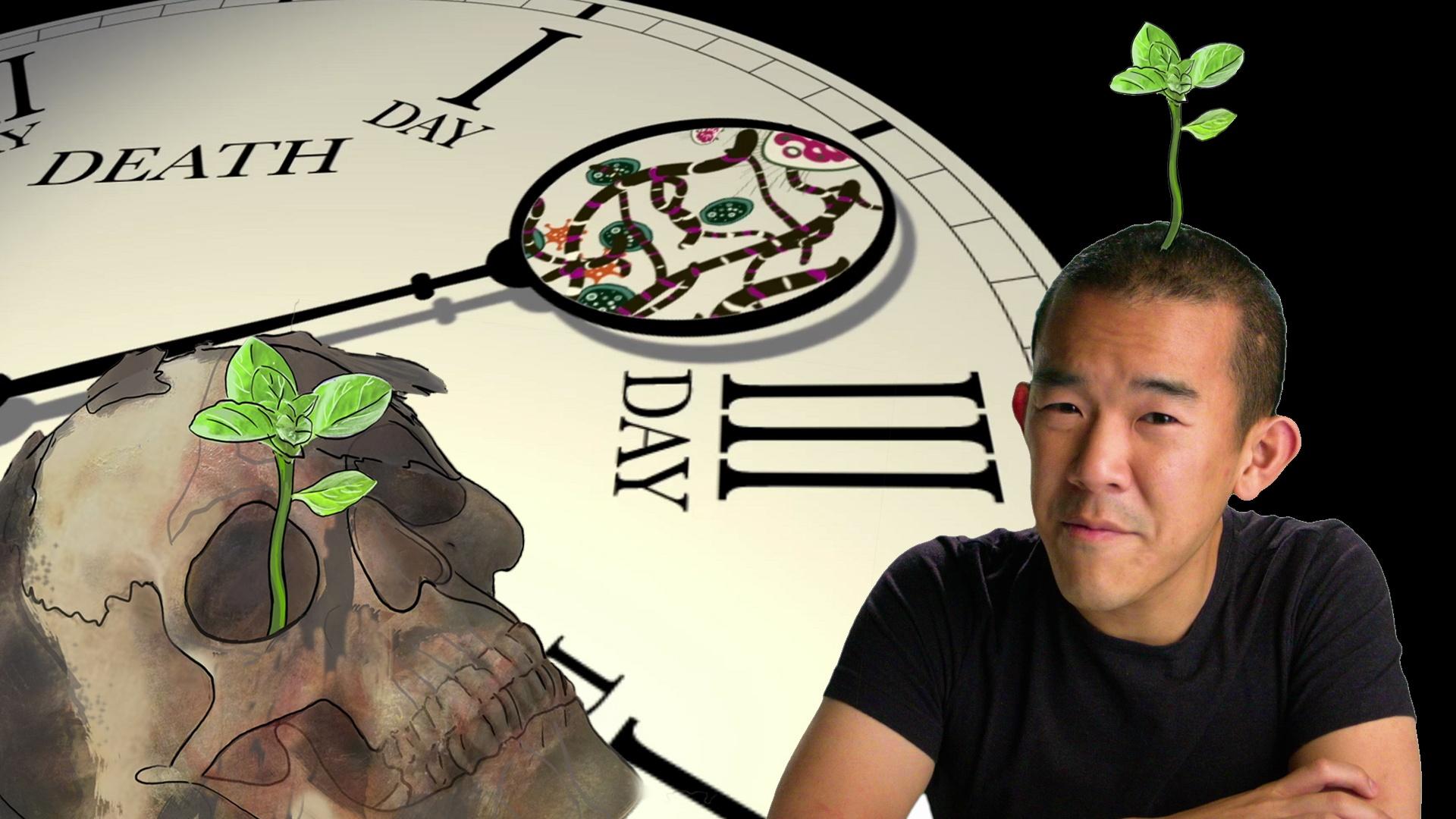 Composite of a person with a sprout coming from their head, with a backdrop of a clock reading "DEATH DAY".