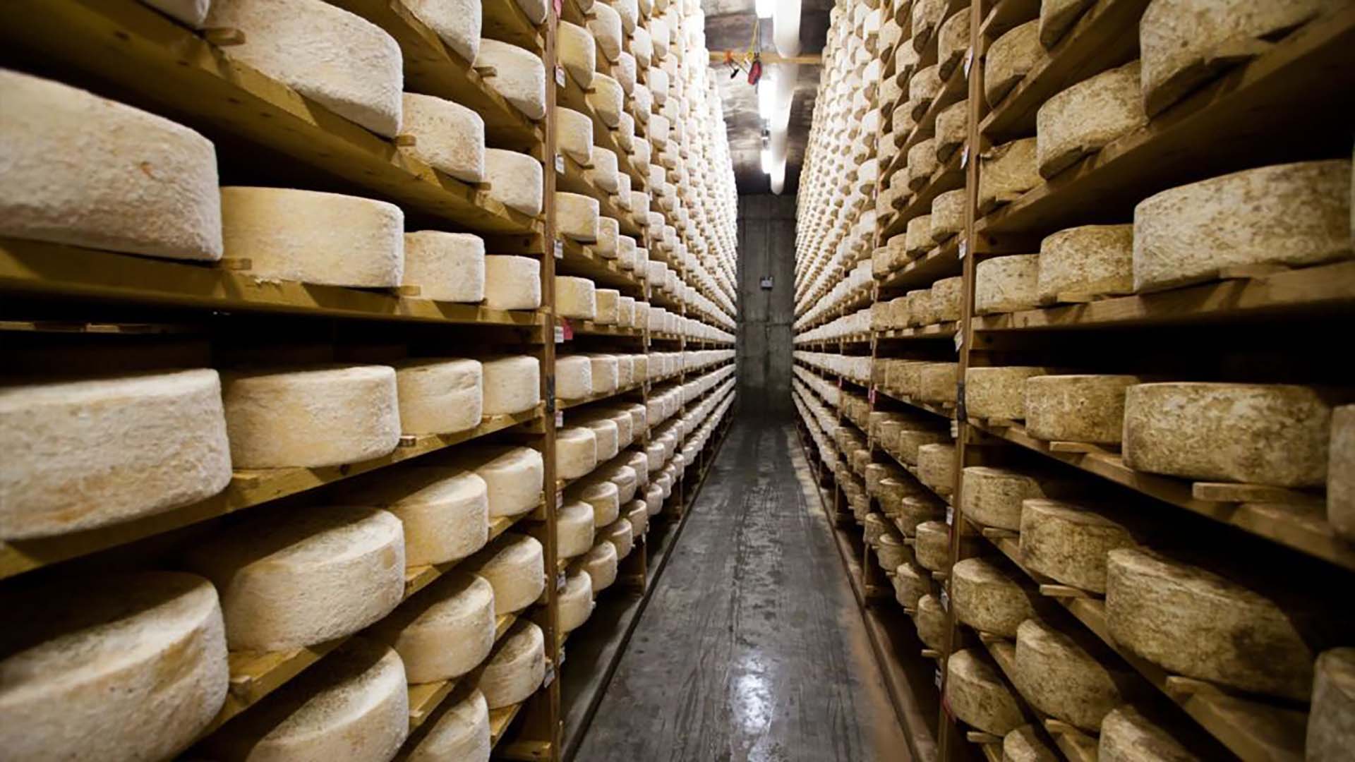 A warehouse filled with cheese.