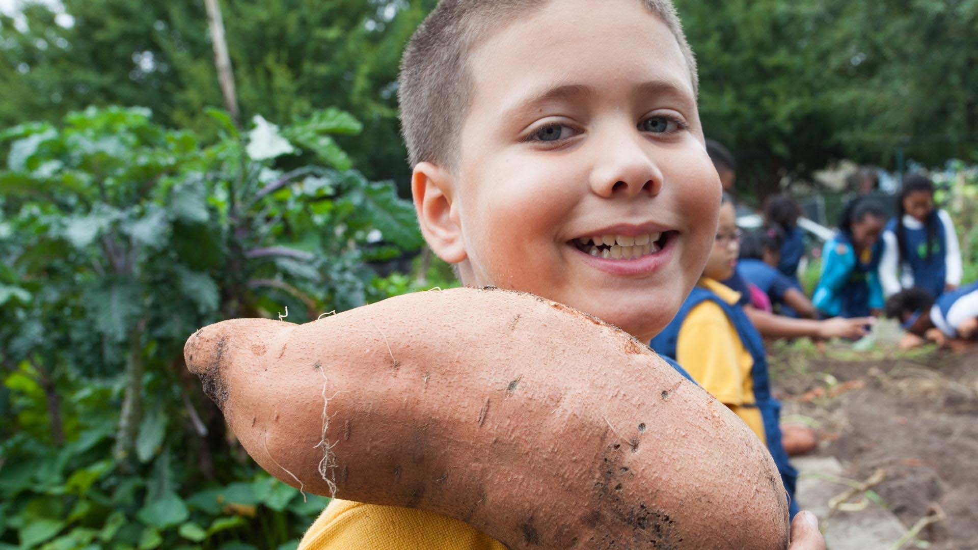 A child smiles while holding a large sweet potato on their shoulder.