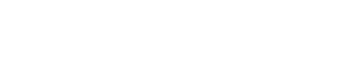 New Mexico First logo